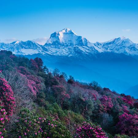 Annapurna Region Trekking